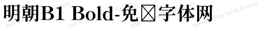 明朝B1 Bold字体转换